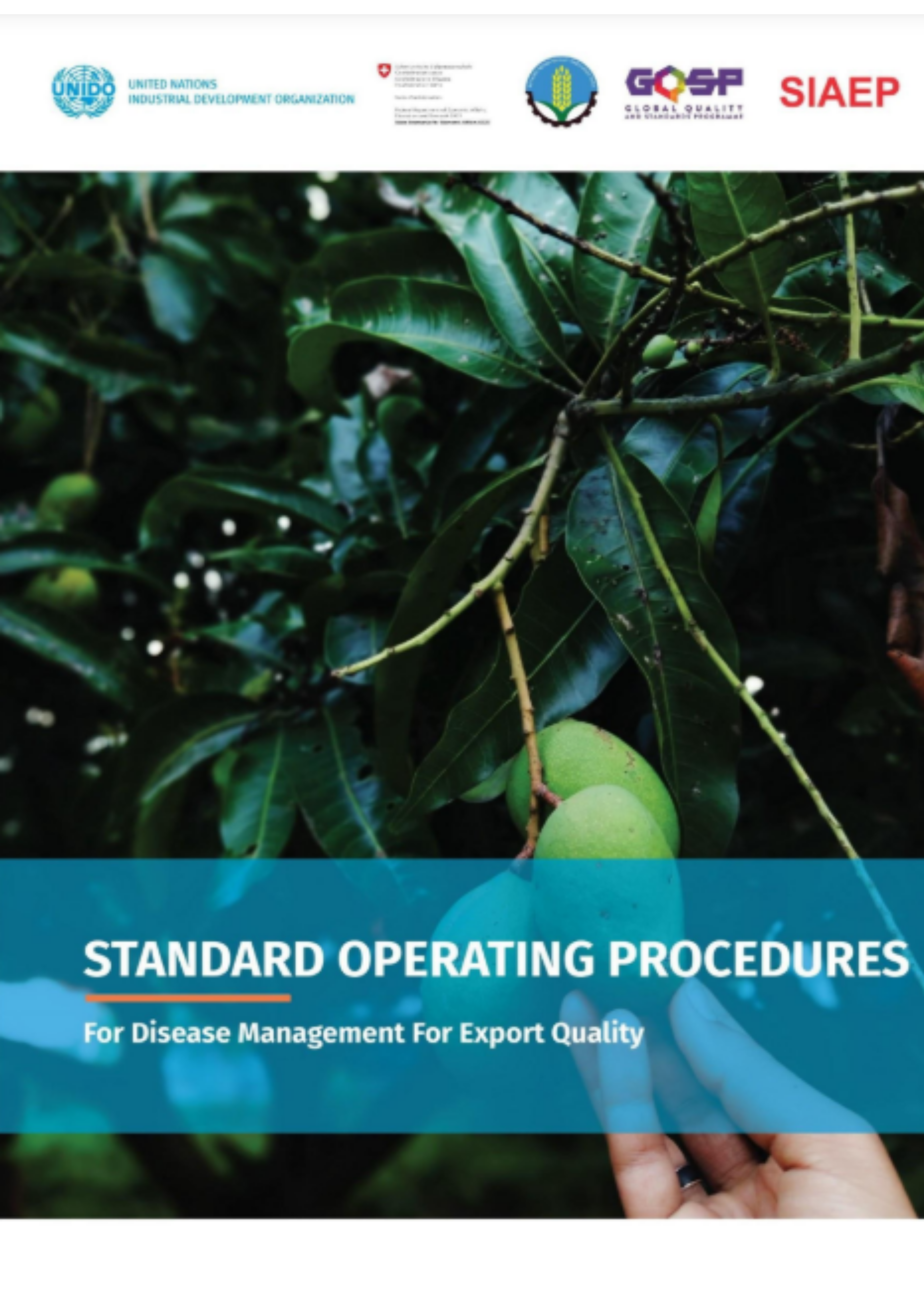 SOP for Disease Management for Export Quality