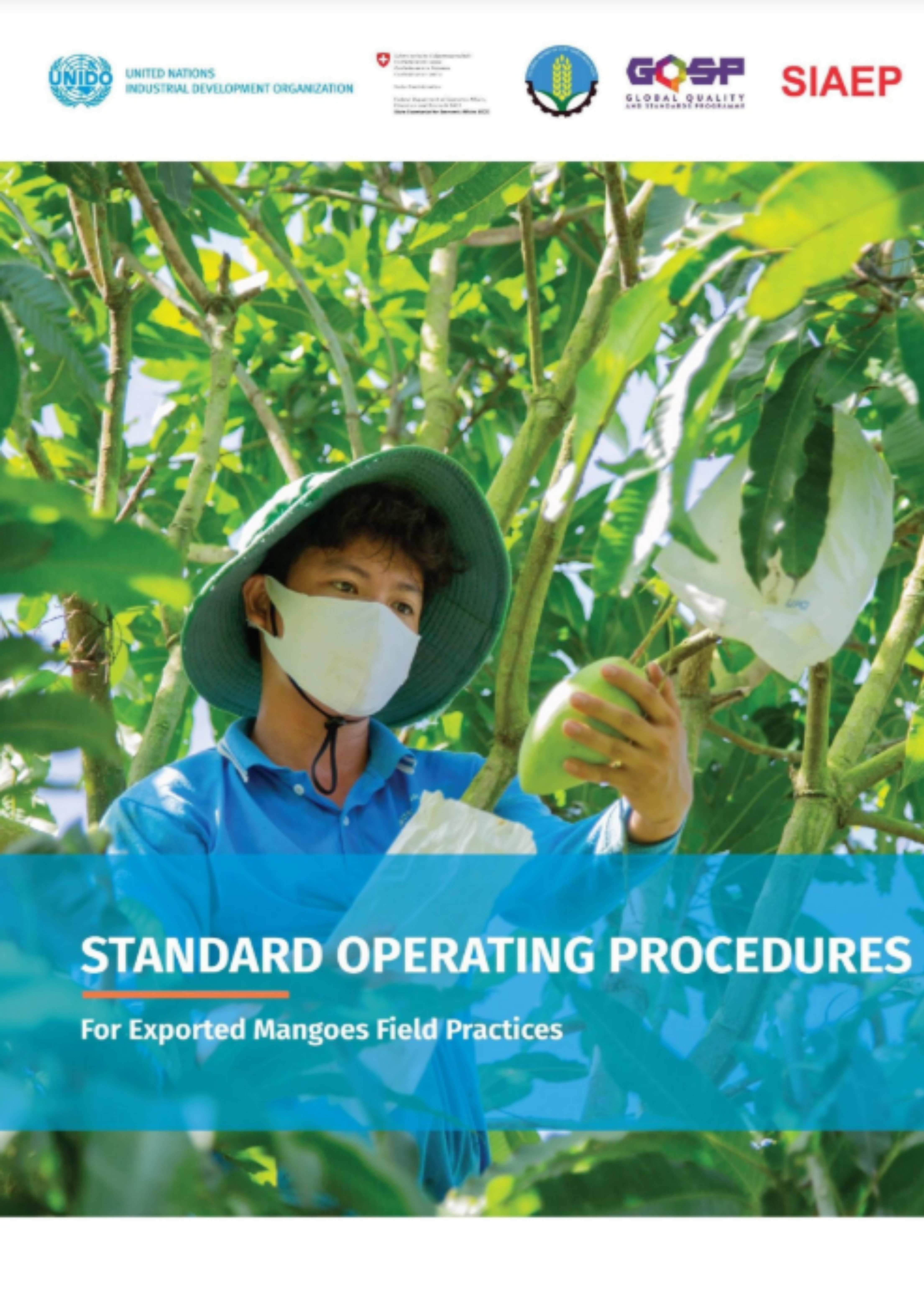 SOP for Exported Mangoes Field Practices