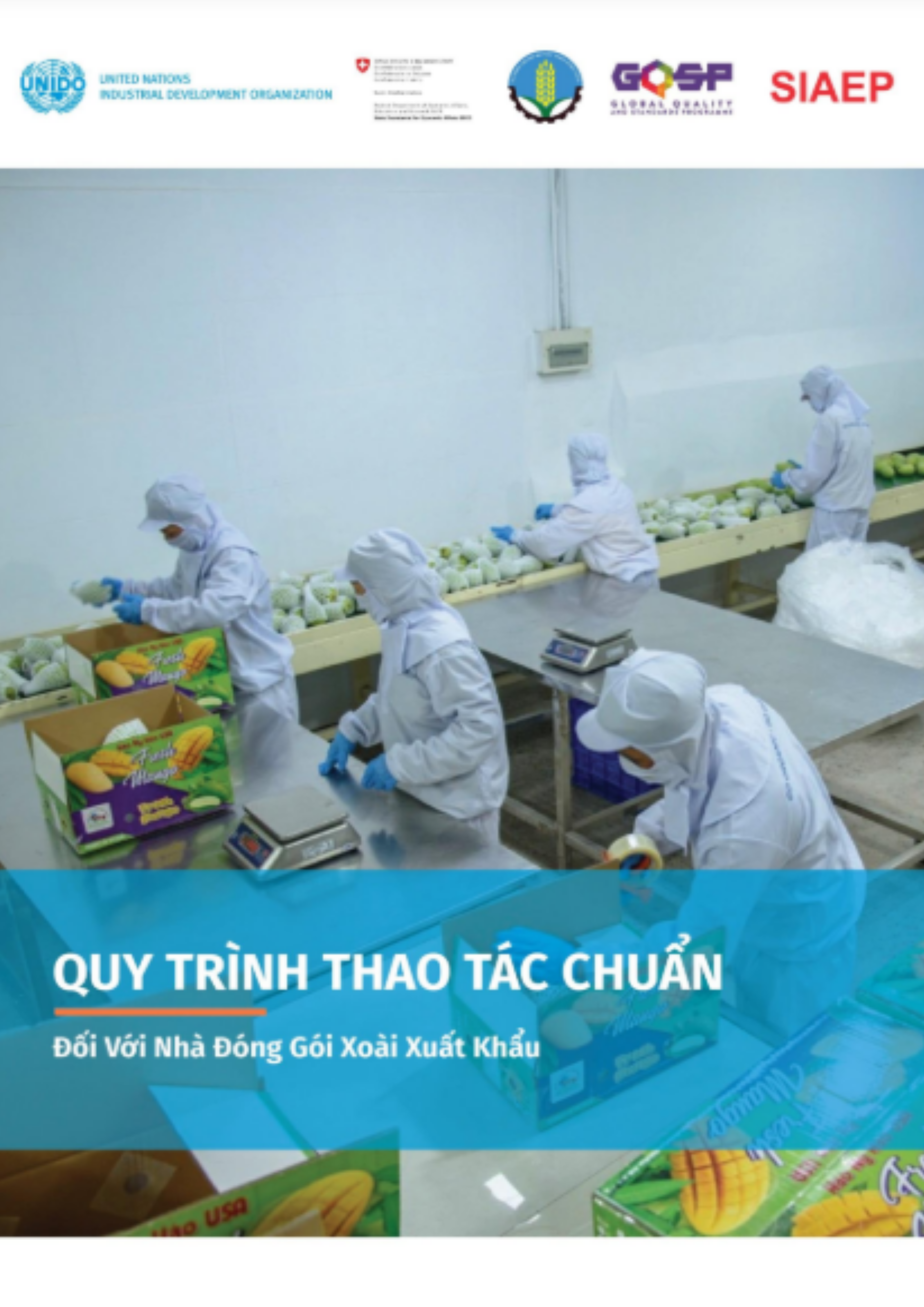Quy trình thao tác chuẩn - Đối với nhà đóng gói xoài xuất khẩu