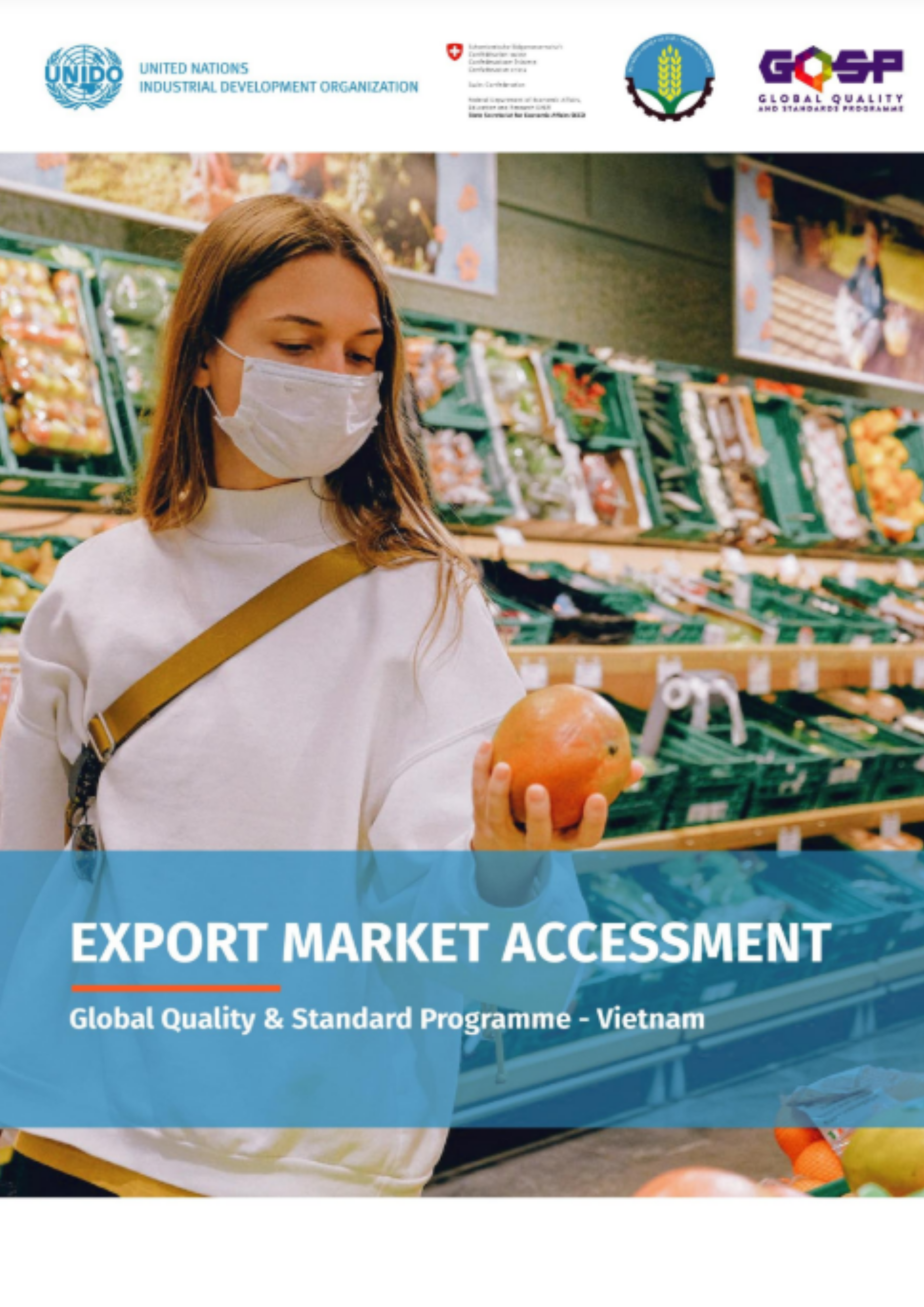 Export Market Assessment report