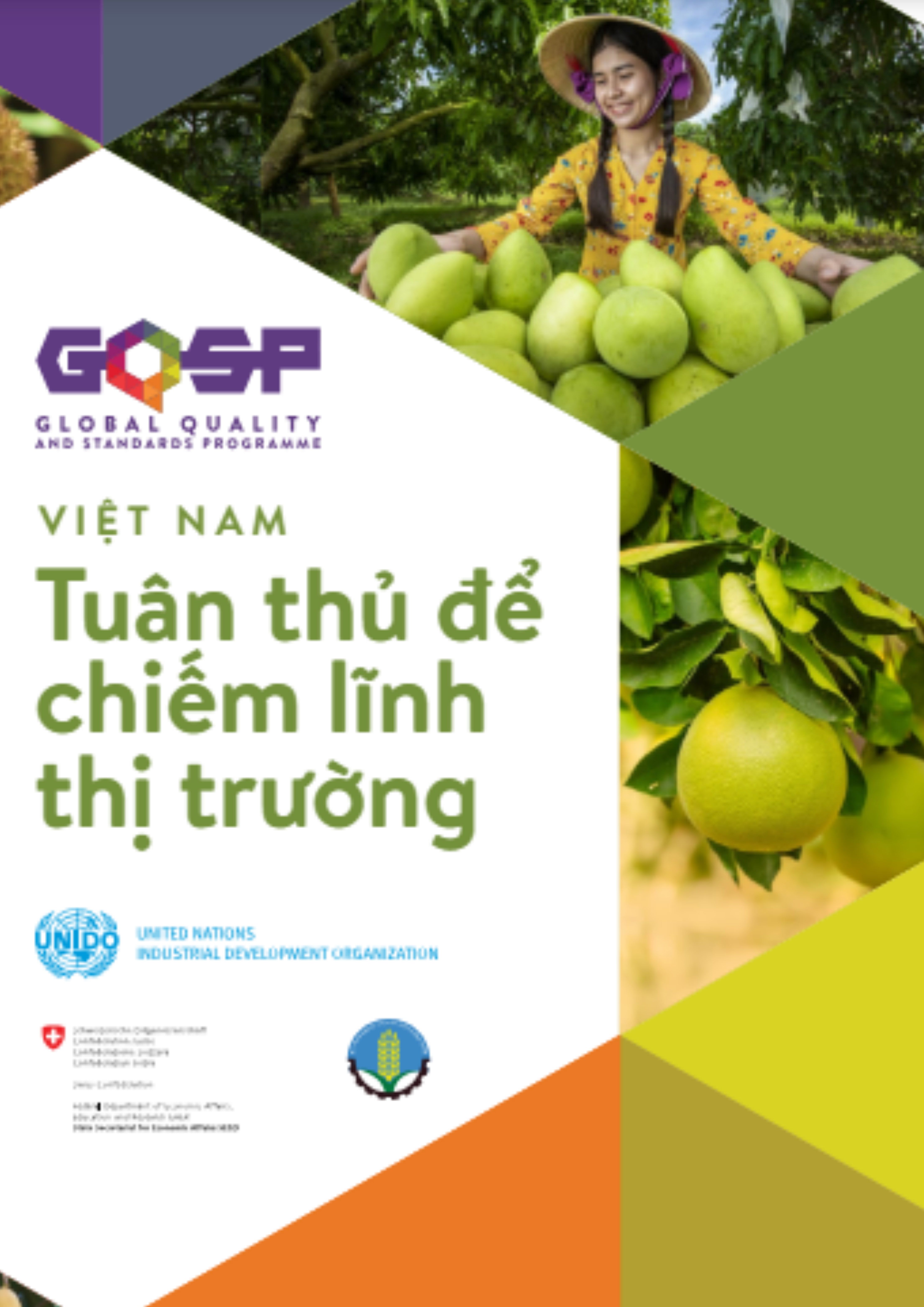 Brochure - Việt Nam tuân thủ để chiếm lĩnh thị trường