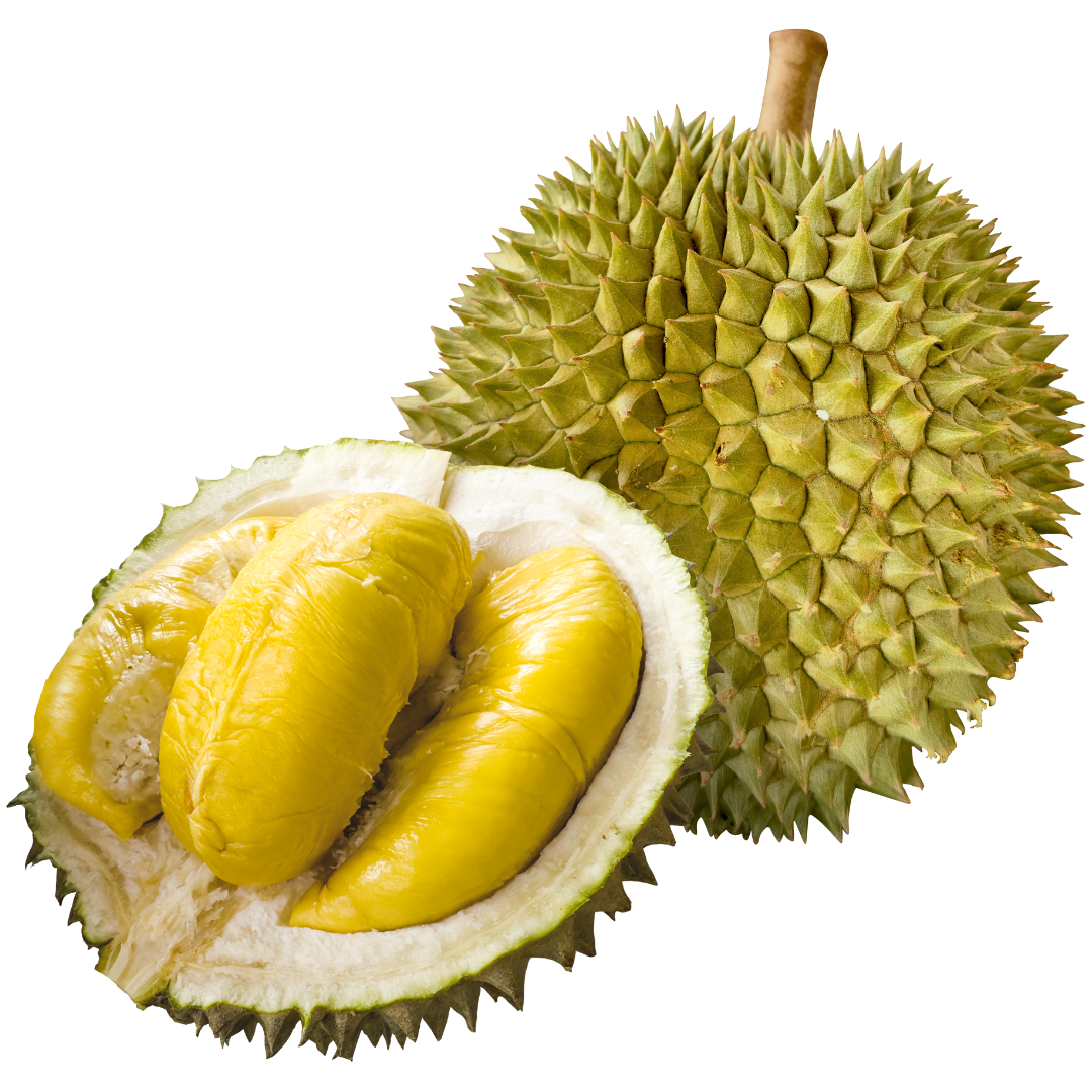 DURIAN